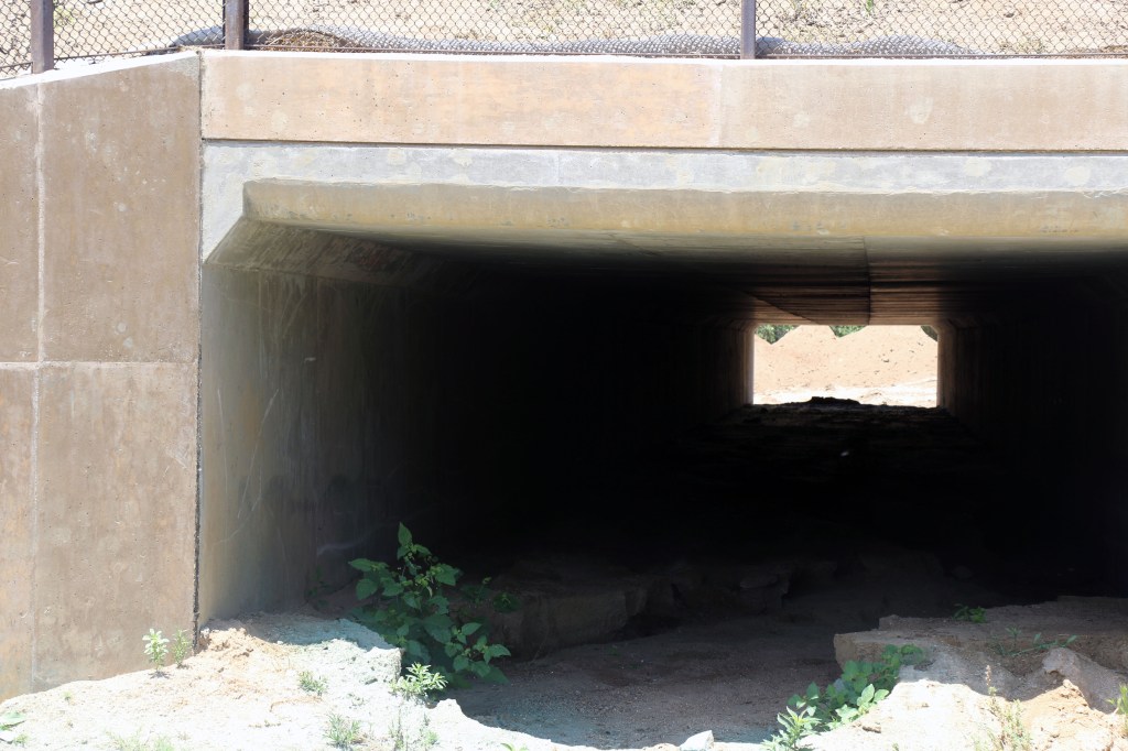 A concrete box culvert wildlife undercrossing beneath a highway, with daylight visible through the far end and sparse vegetation at the entrance